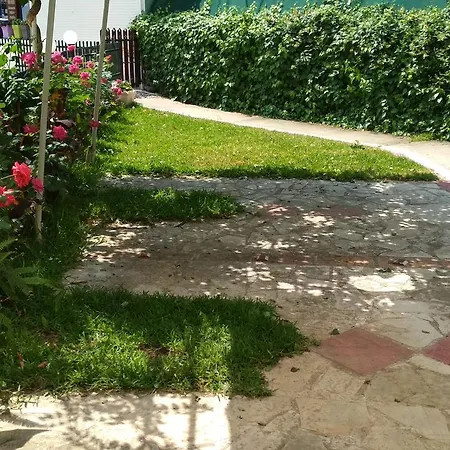 בית הארחה Gogo's - γωγώ & נידרי